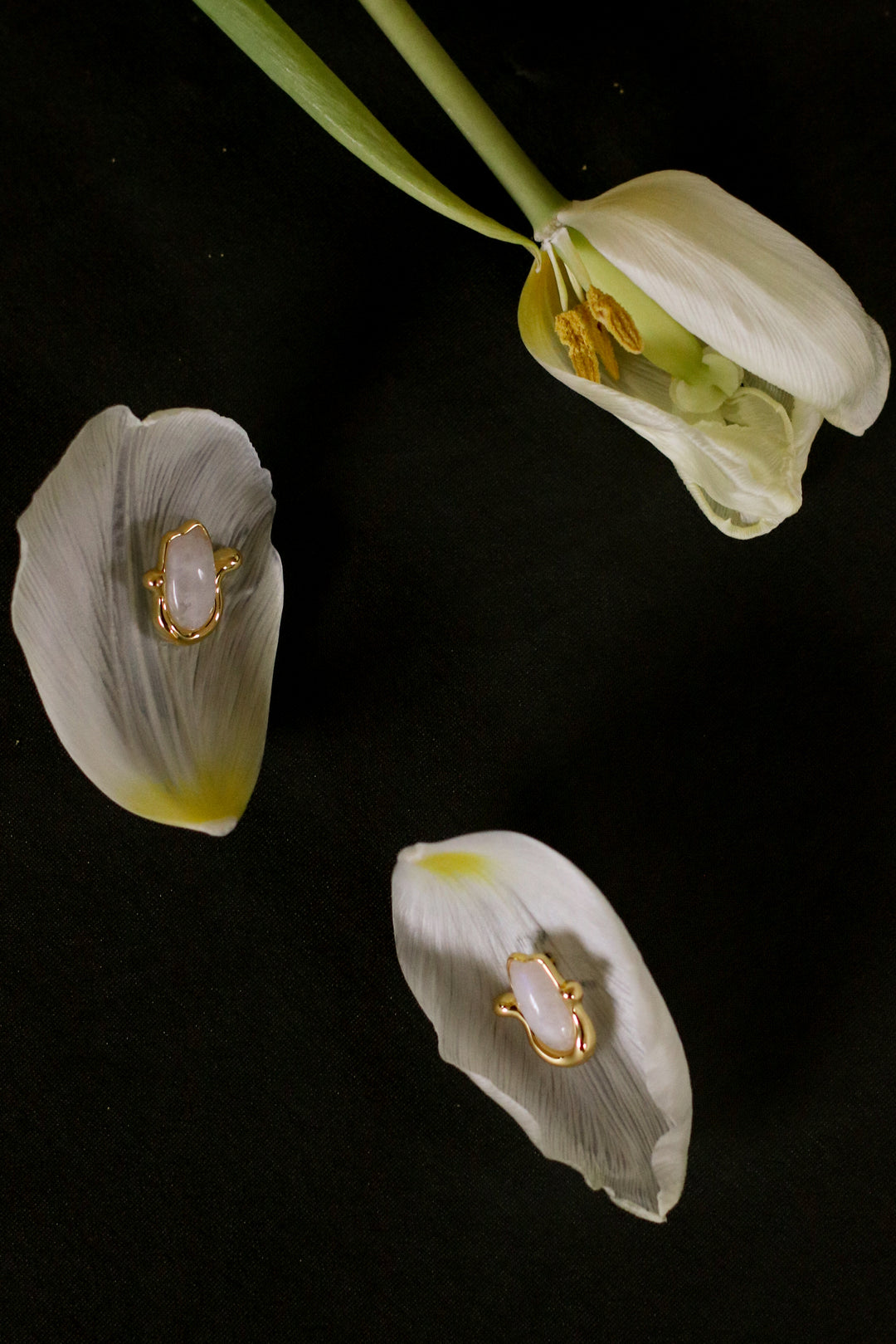 MINI ERSA STUDS